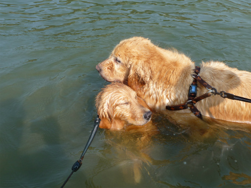 男と女　情熱の海水浴_e0072606_14443928.jpg