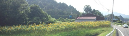 f0231709_8113036.jpg
