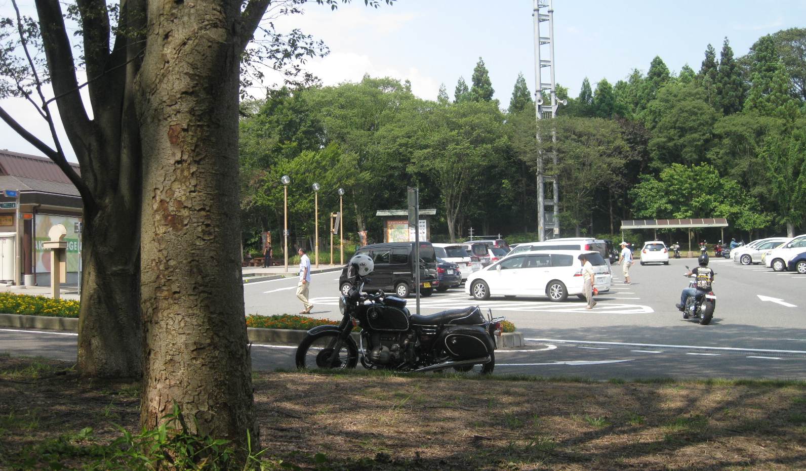 e0003910_1335464.jpg