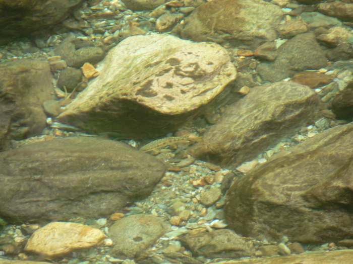 f0219710_13144631.jpg