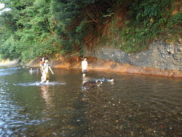 d0224111_8275853.jpg