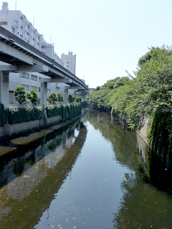 d0113613_1571759.jpg