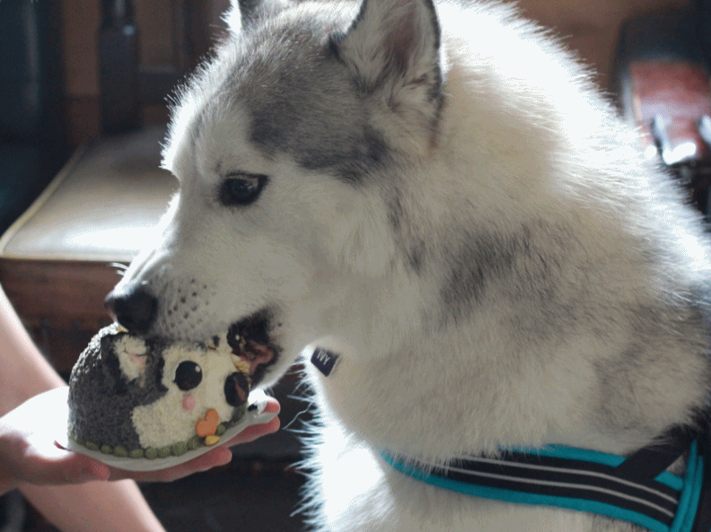 b0207615_21263343.gif