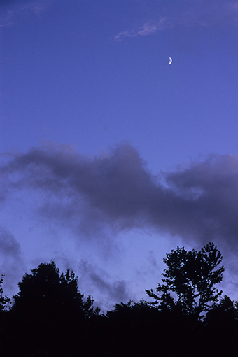 b0259218_12358.jpg