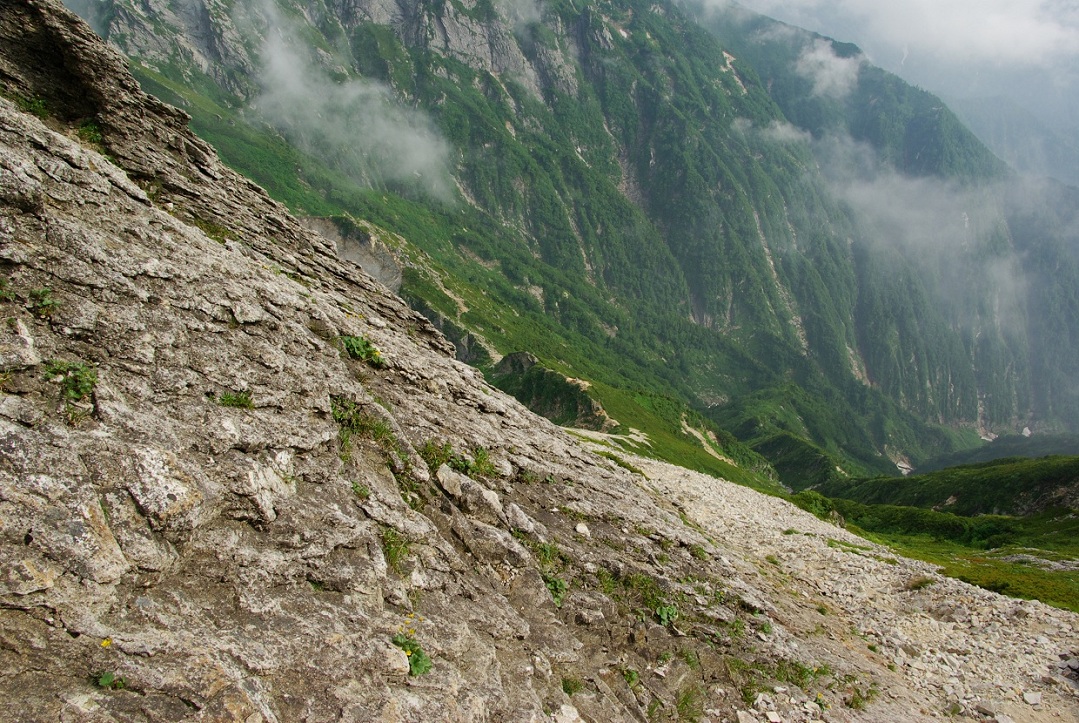 b0062024_22384860.jpg