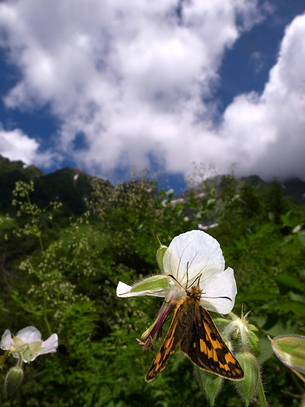 d0054625_0315240.jpg