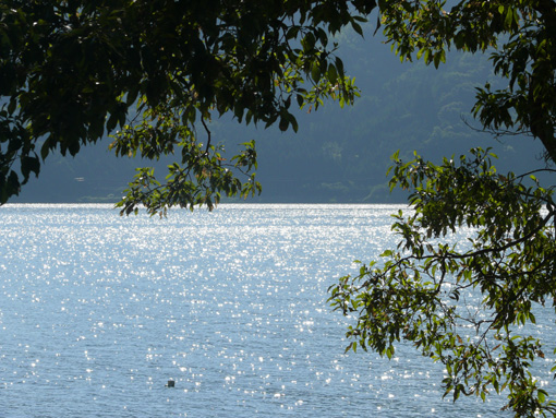 b0023728_8481750.jpg