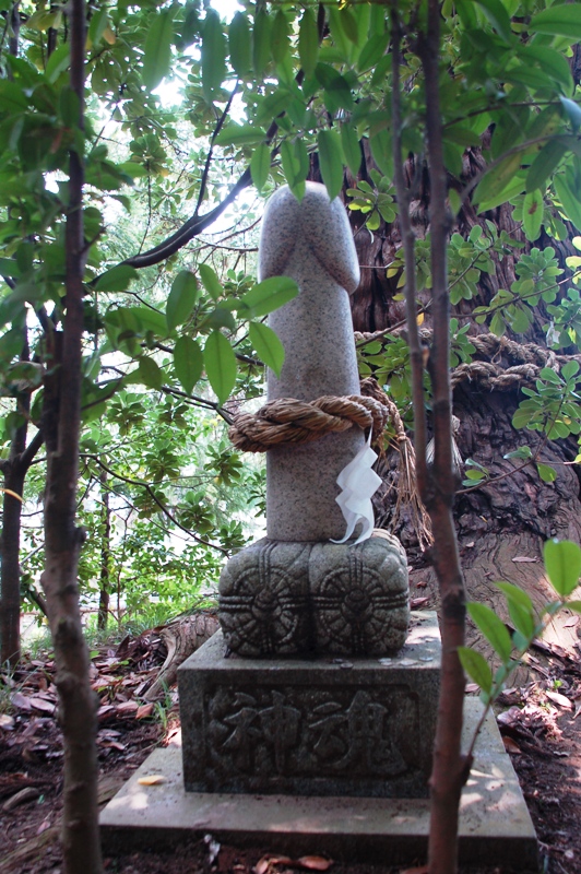 大國魂神社の御神木_e0206031_8531955.jpg