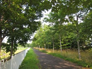 雑記／日記：北海道へ_d0010432_2248100.jpg