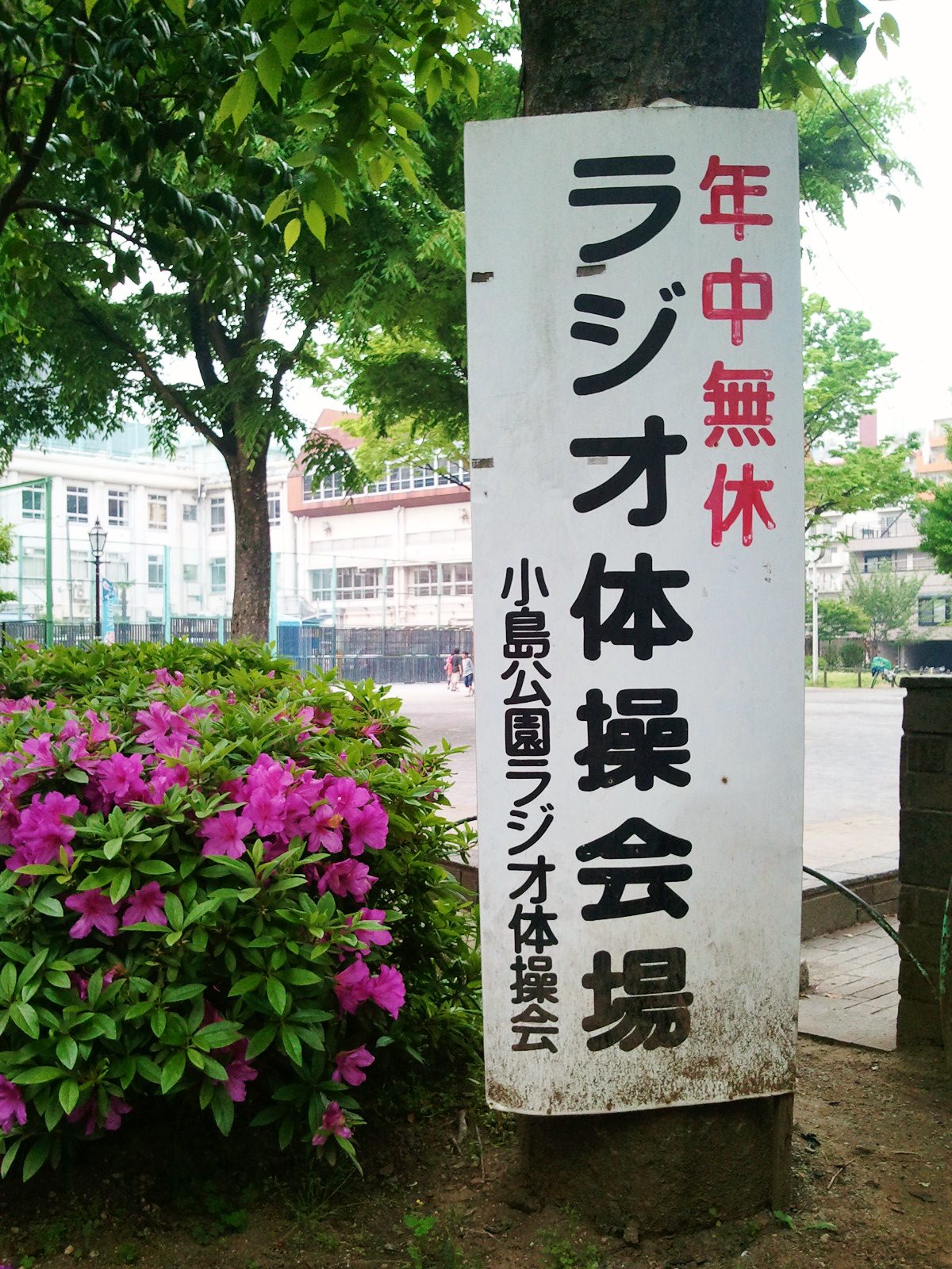 c0195134_9253229.jpg