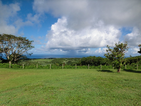 a0157135_23303721.jpg