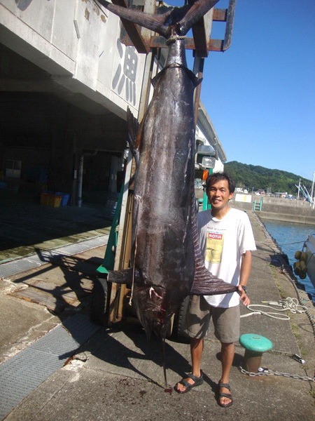 すさみ智丸さんのスイマー　リベンジ！【カジキ・マグロトローリング】_f0009039_9145374.jpg