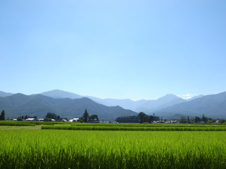 a0014840_22776.jpg