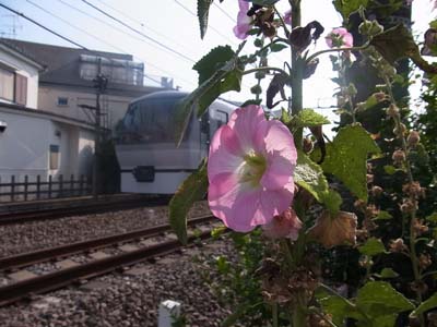 b0019140_1394331.jpg