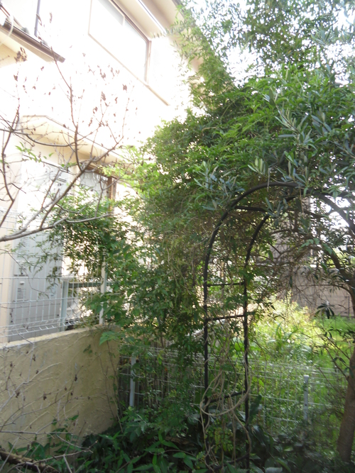 f0177841_22595878.jpg