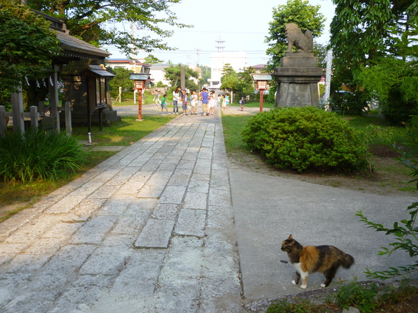 御神幸祭　宵祭_b0238249_22143161.jpg