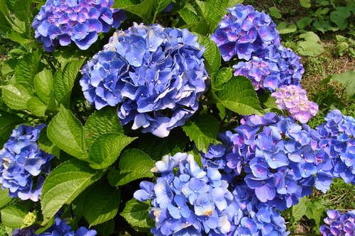 b0250353_232236.jpg