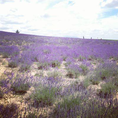 e0040957_233727100.jpg