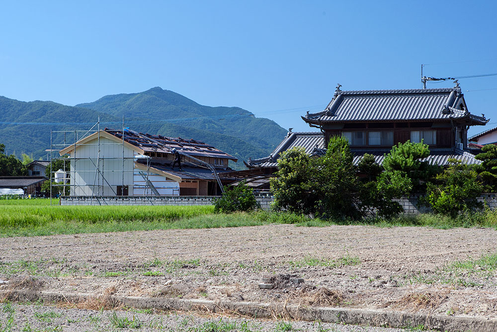大型納屋の雨漏り対策と補強 〜その1〜_a0163962_16422754.jpg