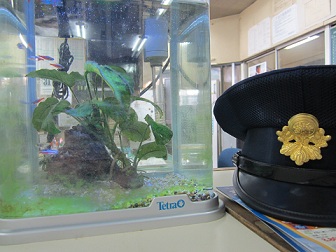 おさかな駅長に会いに行く_a0243562_1817631.jpg