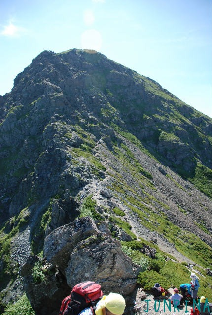 d0110562_845111.jpg