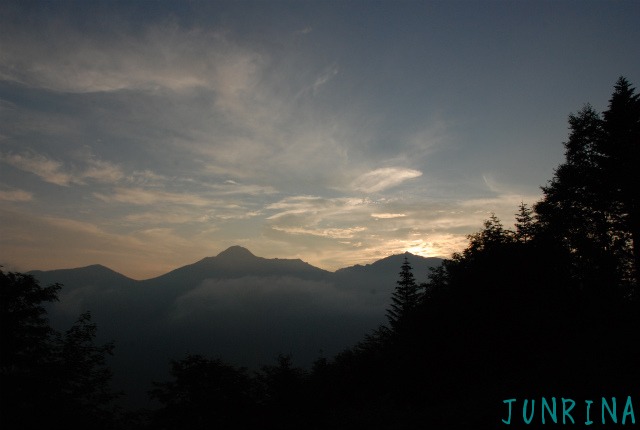 d0110562_84958.jpg