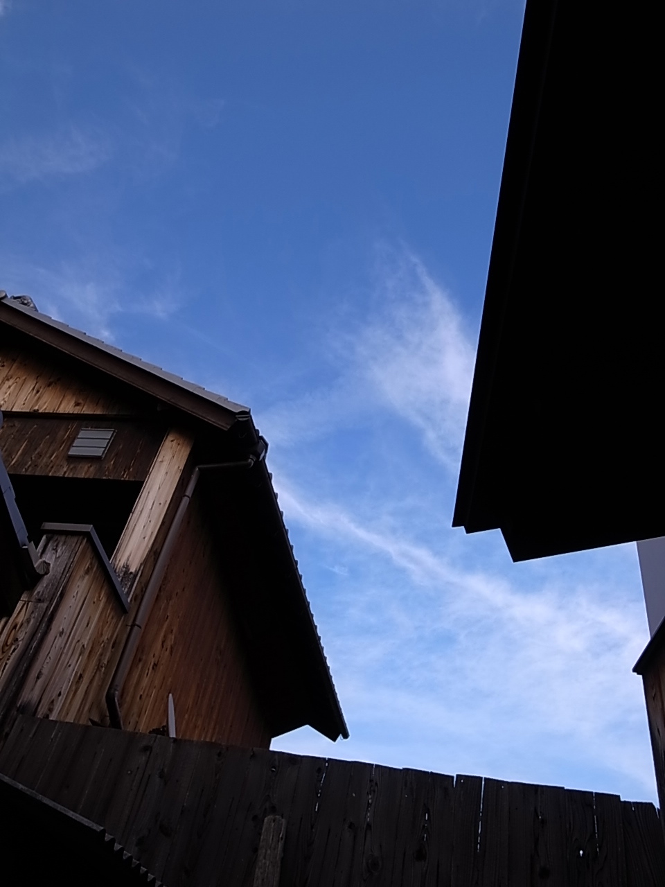 a0166963_01423.jpg