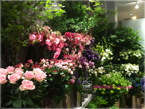 d0259063_0141162.png