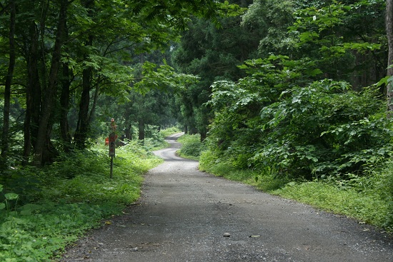 e0239565_22521944.jpg