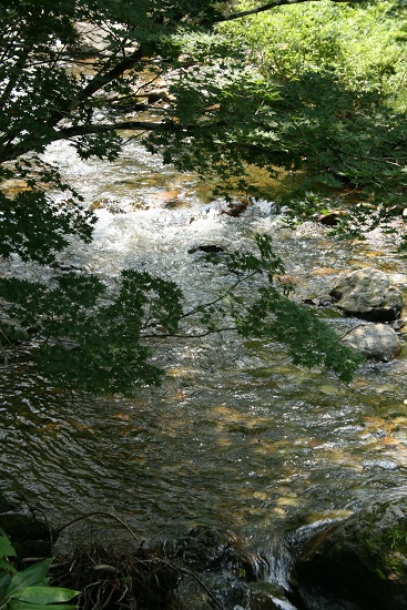 e0239565_22544417.jpg