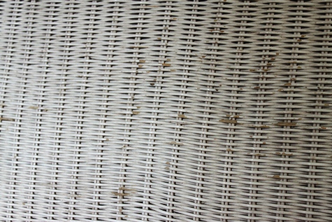 e0272870_1815741.jpg