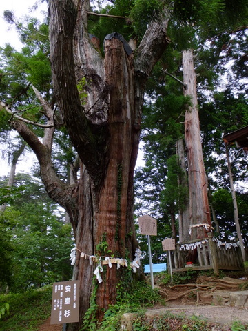 辿り着いたのは御岳山　〜7月29日(日)〜　その①_a0043982_20443194.jpg