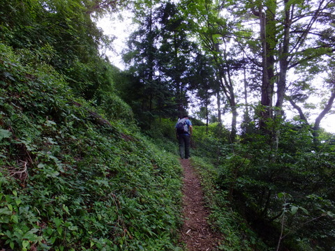 辿り着いたのは御岳山　〜7月29日(日)〜　その①_a0043982_20451180.jpg