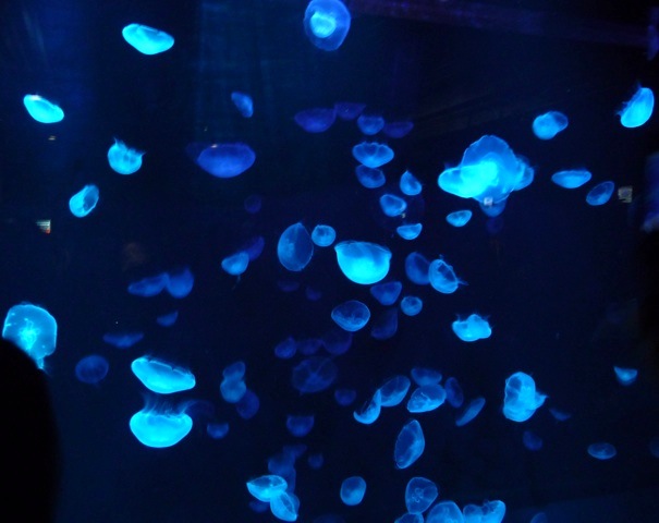 b0191189_13122498.jpg