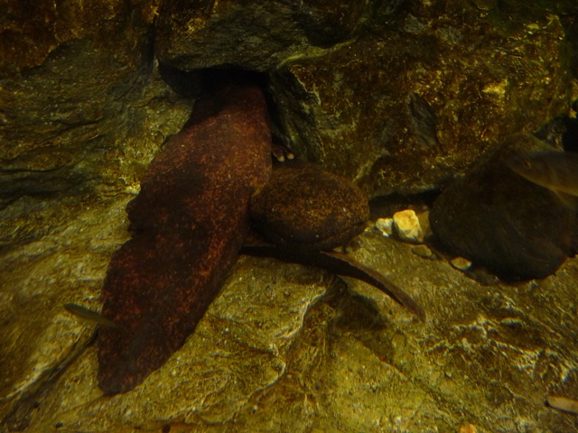 b0191189_139245.jpg