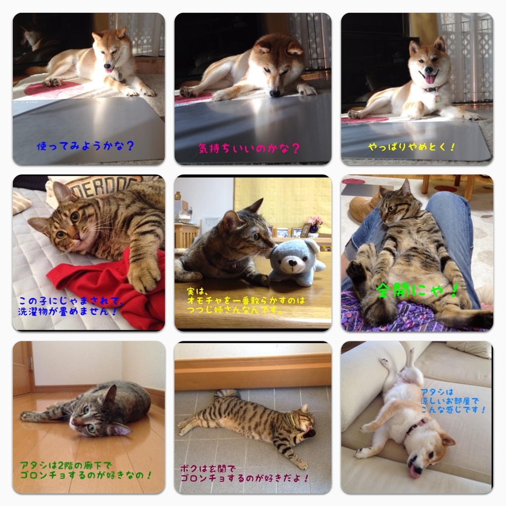 かぼちゃんランド_a0126590_23345637.jpg