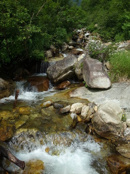 e0271890_934423.jpg
