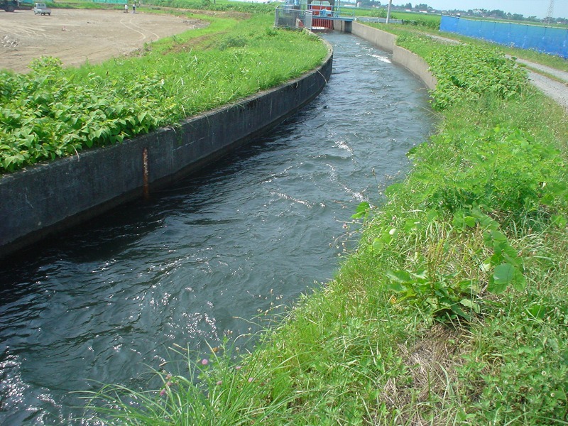 b0207491_17482992.jpg