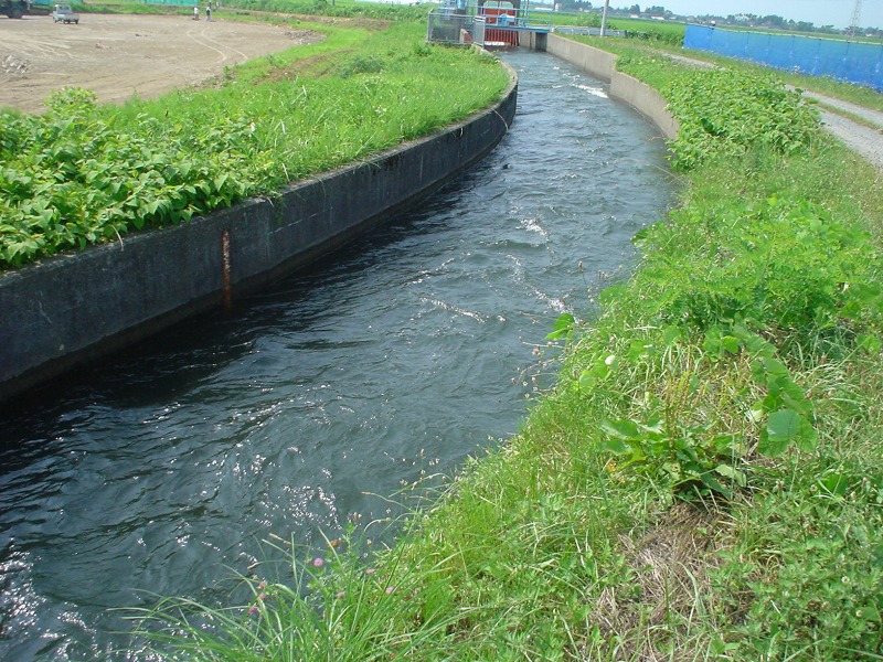 赤川の魚を殺すにゃ刃物は要らぬ_b0207491_17482992.jpg