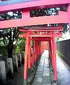 Gita a Negishi giugno 2004_e0170101_11551370.jpg