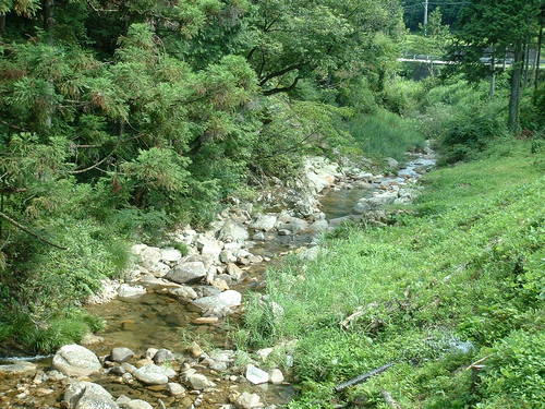 a0271502_21493516.jpg