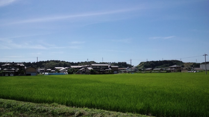d0093903_1544187.jpg