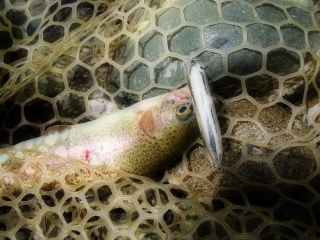 c0023804_22493835.jpg