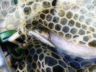 c0023804_22495947.jpg
