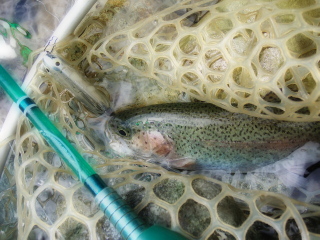 c0023804_22501481.jpg
