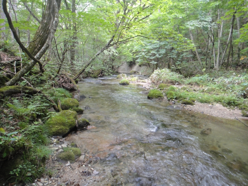b0172805_1005280.jpg