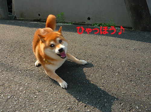e0131506_1014212.jpg