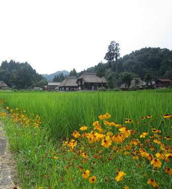 旧高柳町「荻ノ島集落」の民家の実測調査に行ってきました（その３）。_c0195909_105037100.jpg