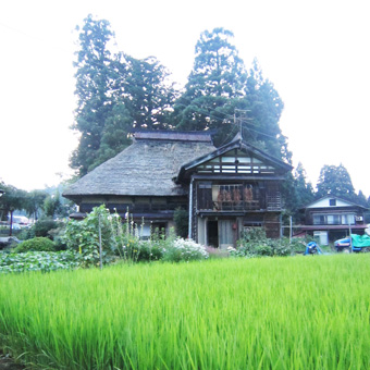 旧高柳町「荻ノ島集落」の民家の実測調査に行ってきました（その３）。_c0195909_10514367.jpg