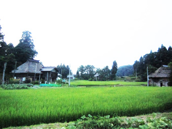 旧高柳町「荻ノ島集落」の民家の実測調査に行ってきました（その３）。_c0195909_1051452.jpg